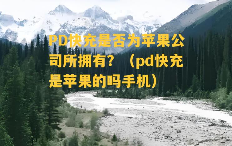 PD快充是否为苹果公司所拥有？（pd快充是苹果的吗手机）