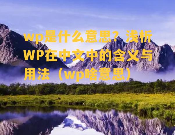 wp是什么意思？浅析WP在中文中的含义与用法（wp啥意思）