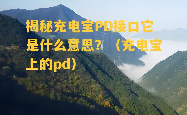 揭秘充电宝PD接口它是什么意思？（充电宝上的pd）