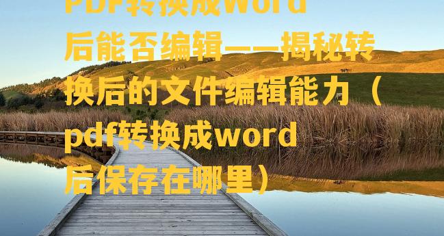 PDF转换成Word后能否编辑——揭秘转换后的文件编辑能力（pdf转换成word后保存在哪里）