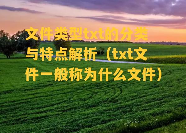 文件类型txt的分类与特点解析（txt文件一般称为什么文件）