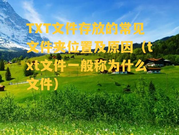 TXT文件存放的常见文件夹位置及原因（txt文件一般称为什么文件）