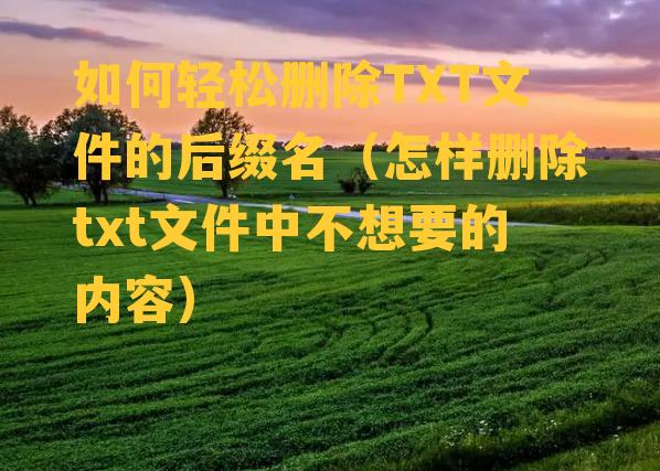 如何轻松删除TXT文件的后缀名（怎样删除txt文件中不想要的内容）