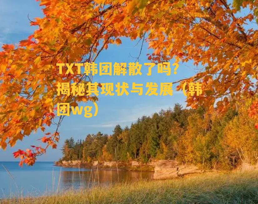 TXT韩团解散了吗？揭秘其现状与发展（韩团wg）