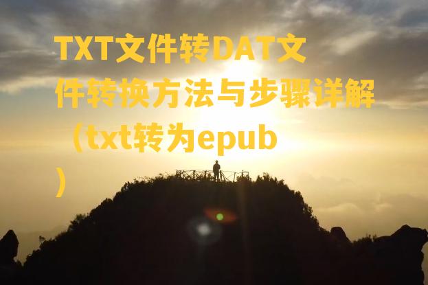 TXT文件转DAT文件转换方法与步骤详解（txt转为epub）