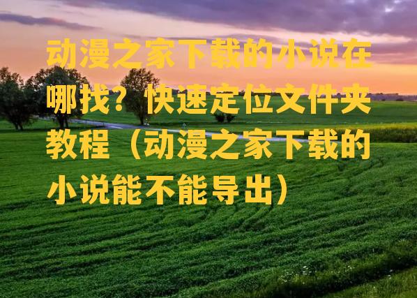 动漫之家下载的小说在哪找？快速定位文件夹教程（动漫之家下载的小说能不能导出）