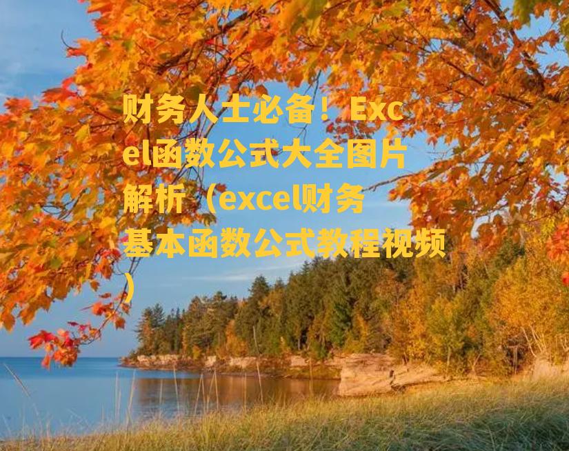 财务人士必备！Excel函数公式大全图片解析（excel财务基本函数公式教程视频）