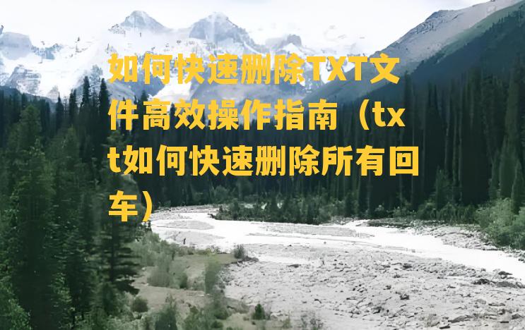 如何快速删除TXT文件高效操作指南（txt如何快速删除所有回车）