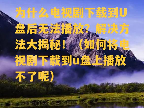 为什么电视剧下载到U盘后无法播放？解决方法大揭秘！（如何将电视剧下载到u盘上播放不了呢）