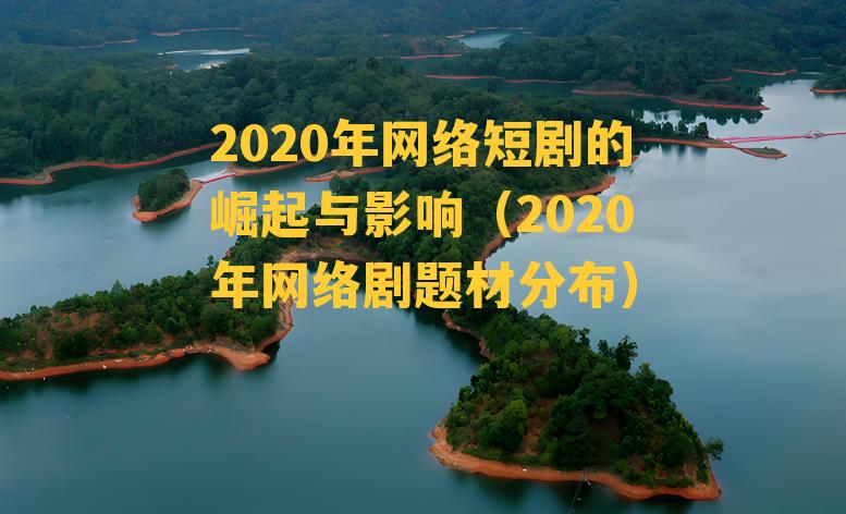 2020年网络短剧的崛起与影响（2020年网络剧题材分布）