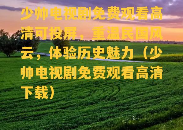 少帅电视剧免费观看高清可投屏，重温民国风云，体验历史魅力（少帅电视剧免费观看高清下载）