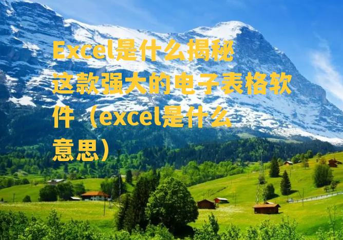 Excel是什么揭秘这款强大的电子表格软件（excel是什么意思）