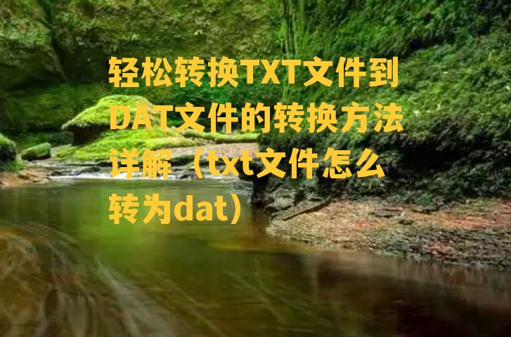 轻松转换TXT文件到DAT文件的转换方法详解（txt文件怎么转为dat）