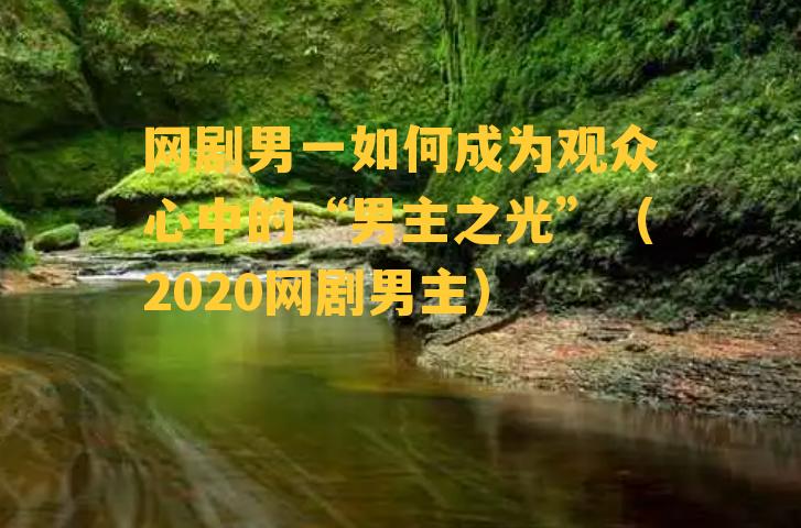 网剧男一如何成为观众心中的“男主之光”（2020网剧男主）