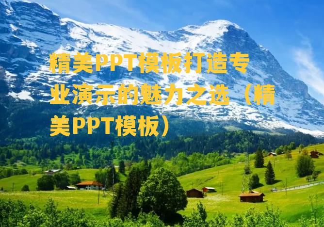 精美PPT模板打造专业演示的魅力之选（精美PPT模板）