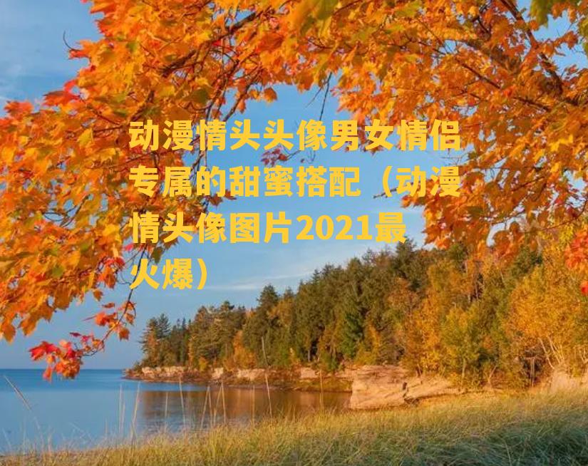 动漫情头头像男女情侣专属的甜蜜搭配（动漫情头像图片2021最火爆）