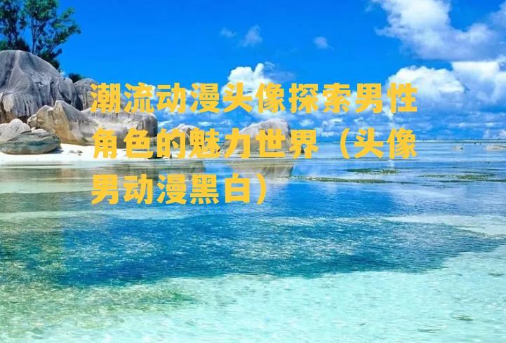 潮流动漫头像探索男性角色的魅力世界（头像男动漫黑白）