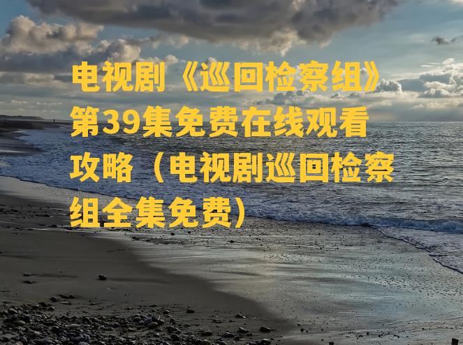 电视剧《巡回检察组》第39集免费在线观看攻略（电视剧巡回检察组全集免费）